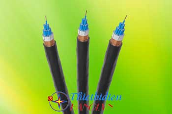 Cáp điều khiển có chống nhiễu Cadivi DVV/Sc-3x6 (3x7/1.04) -0,6/1kV
