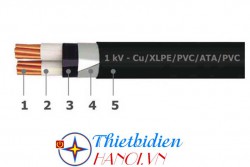 Dây cáp điện Goldcup, Cáp điện kế CEVV-SA 2 x 6