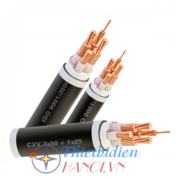 Dây cáp điện Cadisun, Cáp treo CXV 3x10+1x6