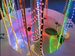 Đèn led dây 3528 nhiều màu chịu nước ( cuộn 50m - 100m )