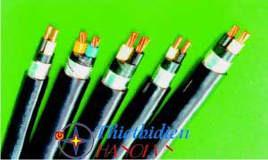 Dây cáp điện Cadivi, Cáp điện kế DK-CVV-2x25